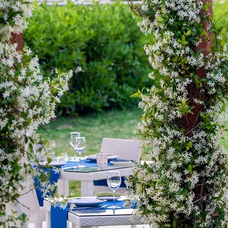 Otel Kairaba Bodrum Princess And Turgutreis